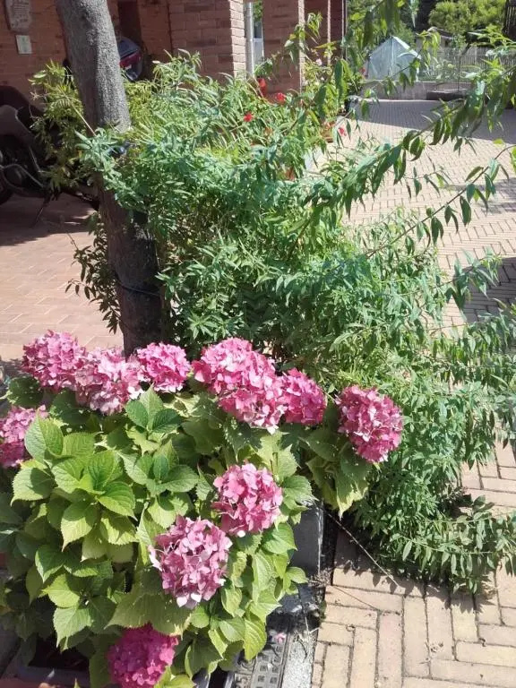 Agriturismo Doremi