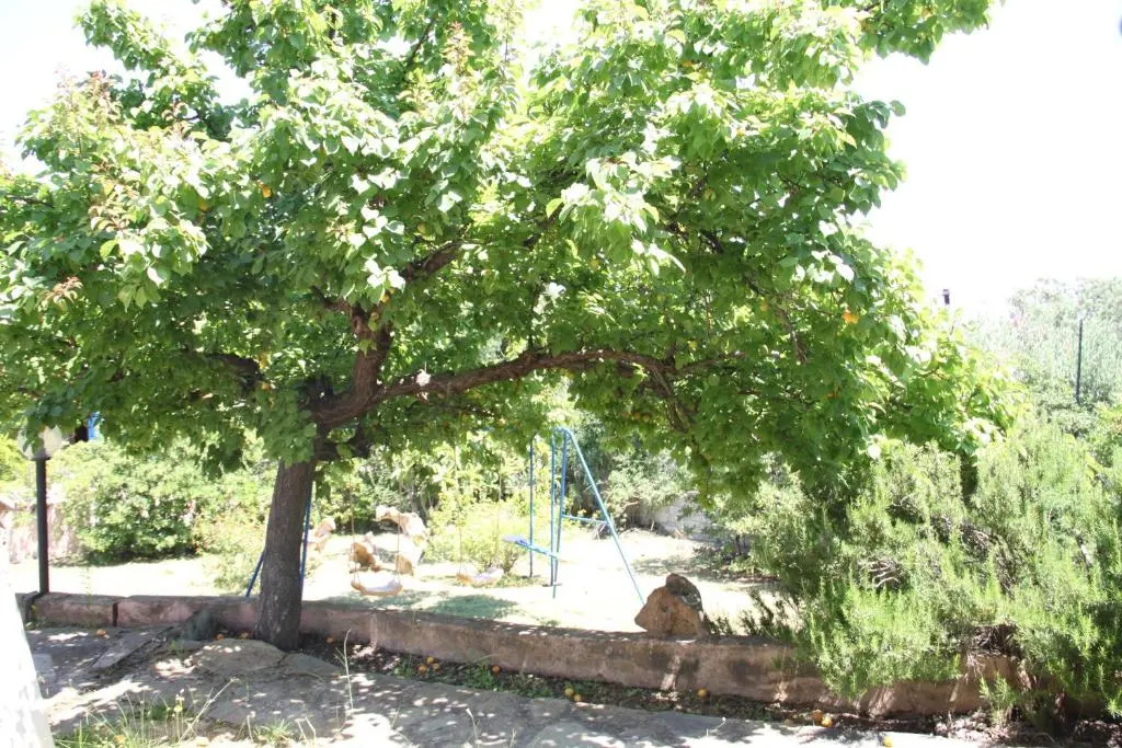 San Teodoro Garden House