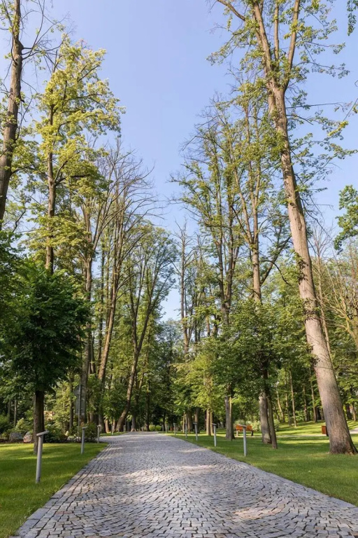 Zámeček Petrovice
