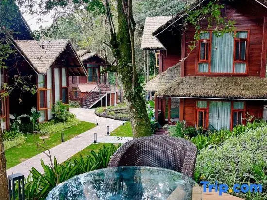 Terraces&Forest Wooden Hotel