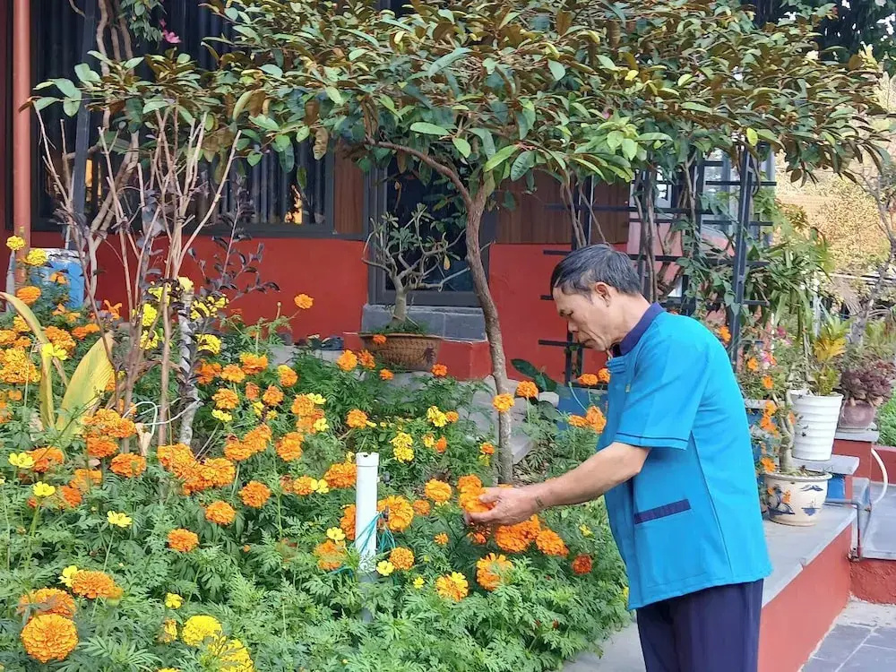 Catba Papillon Garden Bungalow & Resort