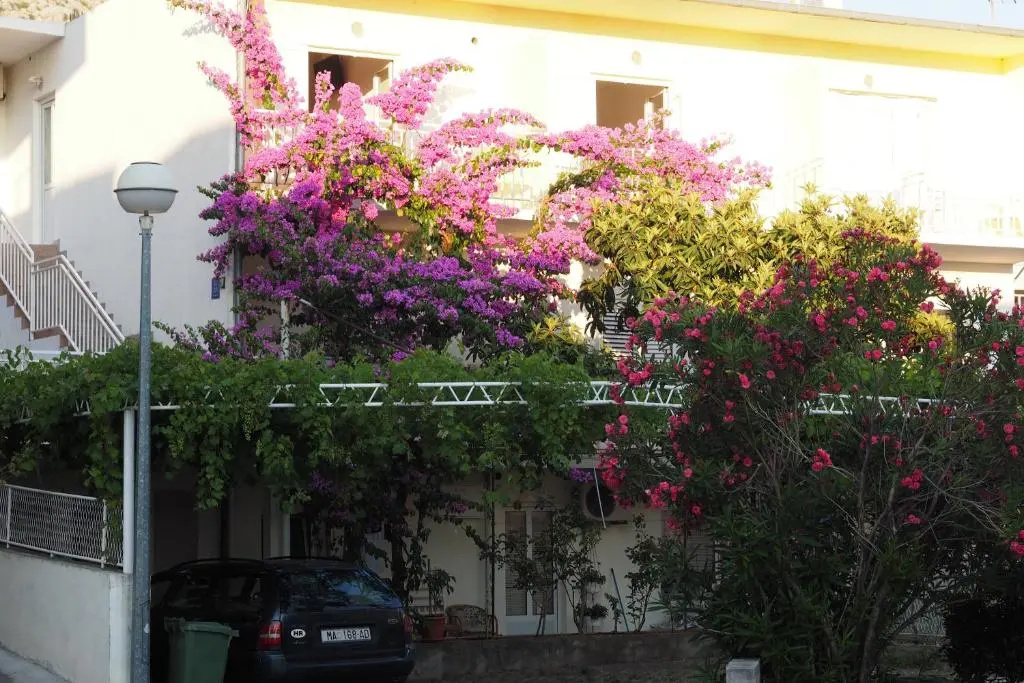 Apartmani Centar Makarska