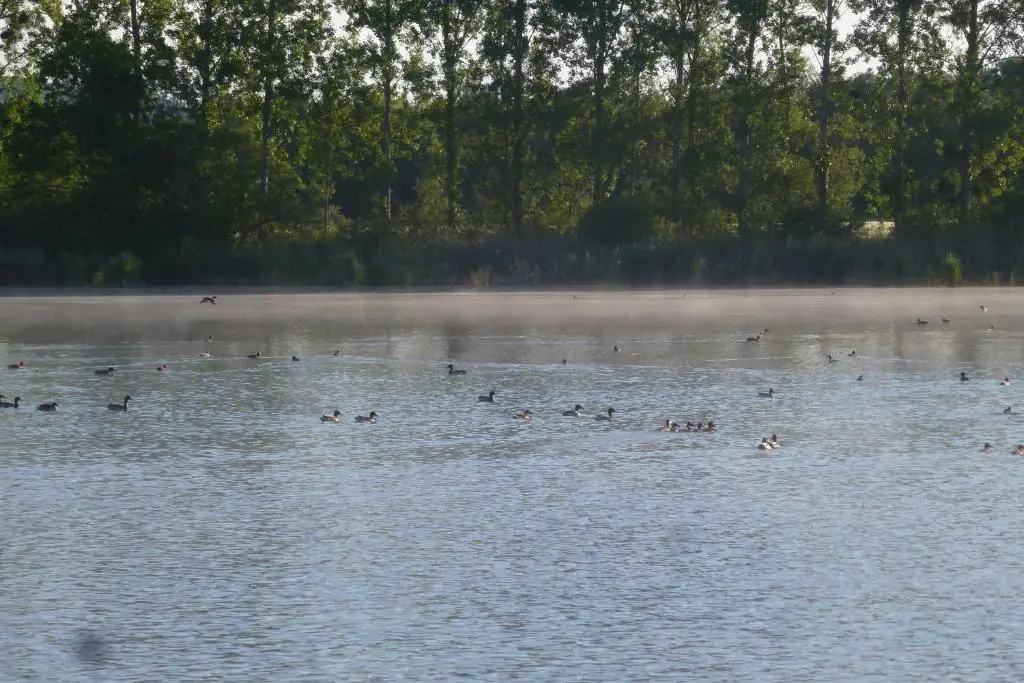 Gite Des Etangs