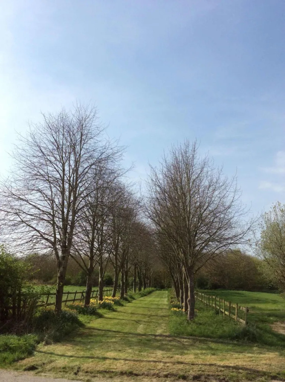 Waldegrave farm