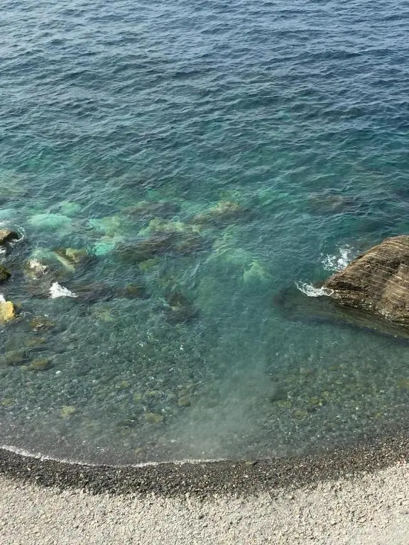 La Bloo di Vernazza - Sea View - AC&WiFi - Vernazzarentals