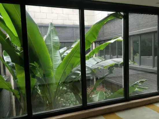 Xianning Guest House