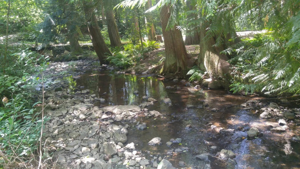 Scott Creek Farm