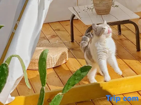 Weizhou Island Yunshang Guoyu Homestay (Wucaitan Branch)