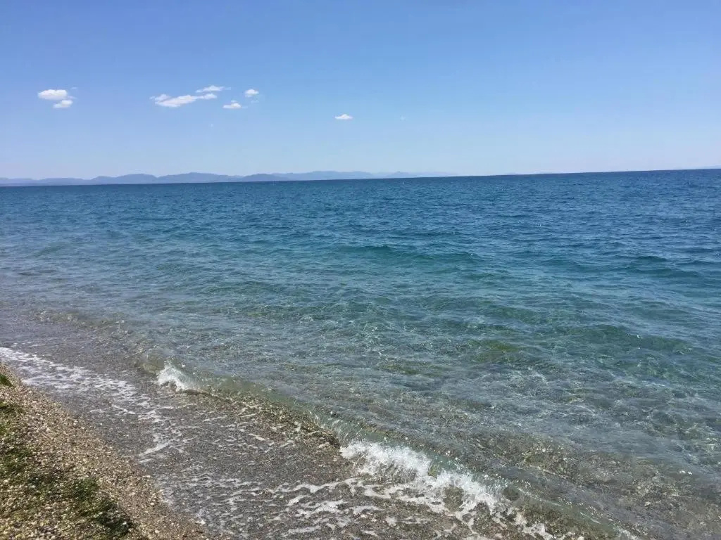 Elaianthos 2