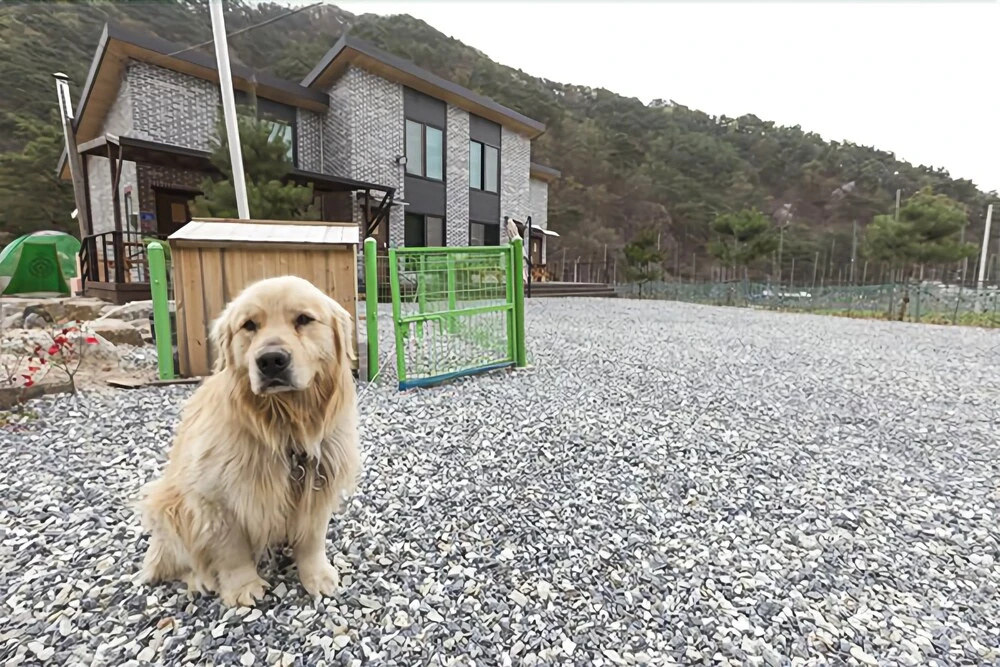 Jecheon Cacao Pension