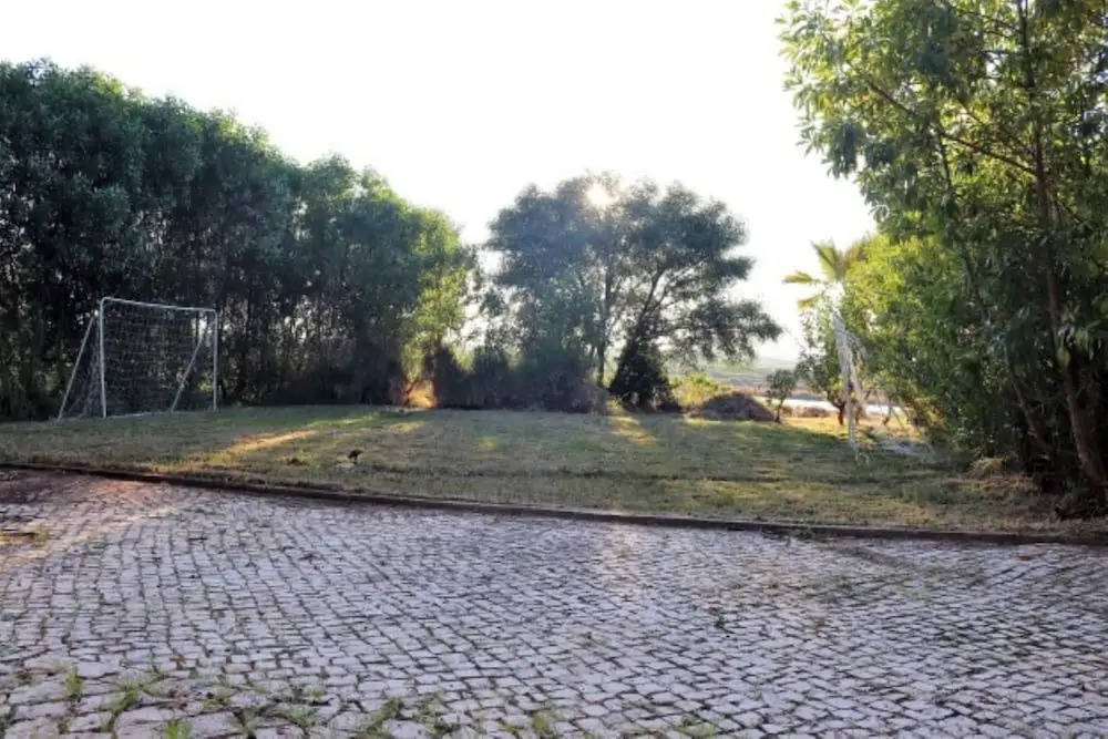 Akivillas Tavira Pine