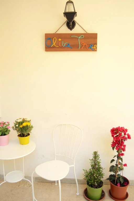 Olive Tree - Hostel