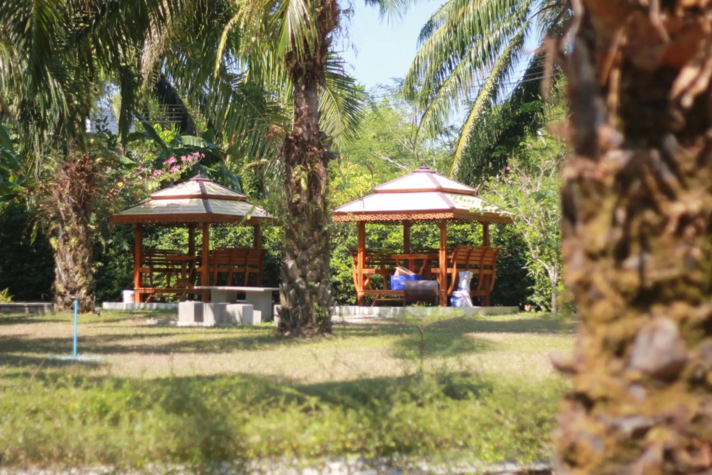 Palm Scenery Resort