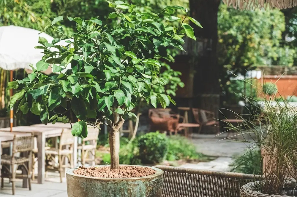 Boutique Hotel SOCLO