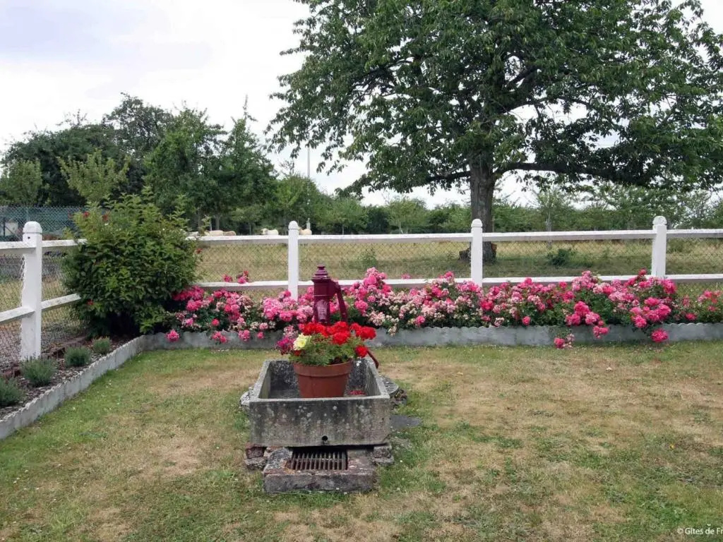 Charmante maison rénovée à la ferme avec jardin clos - FR-1-497-27