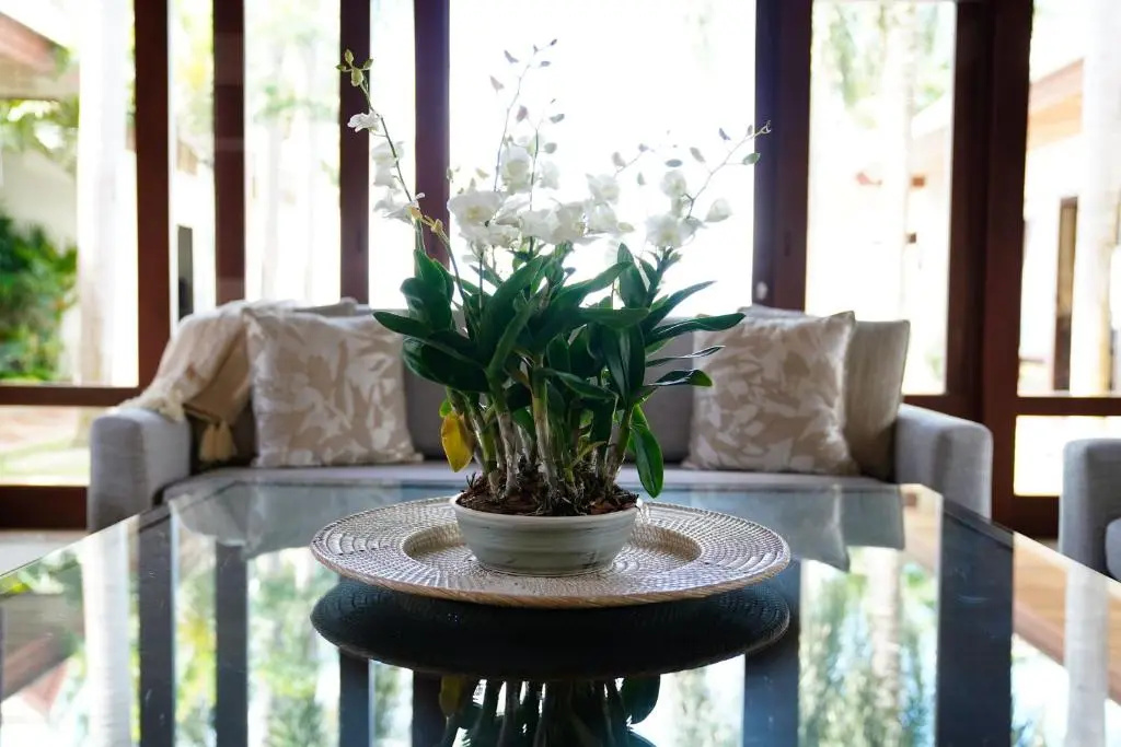 Miskawaan Villa Frangipani
