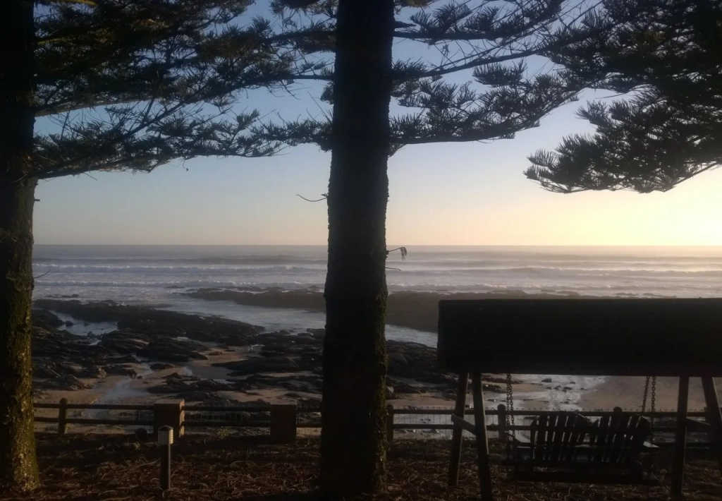 Sea Otters Lodge