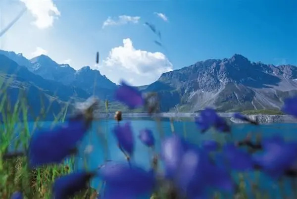 Alpenhotel Zimba