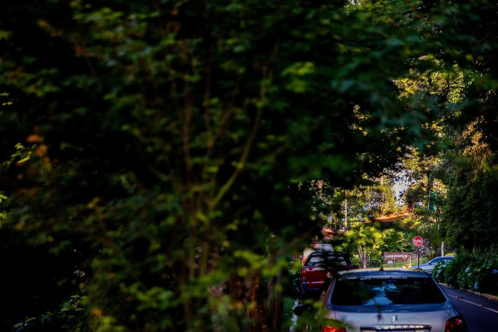 LOCAR-IN GRAMADO- Morada de bergamo