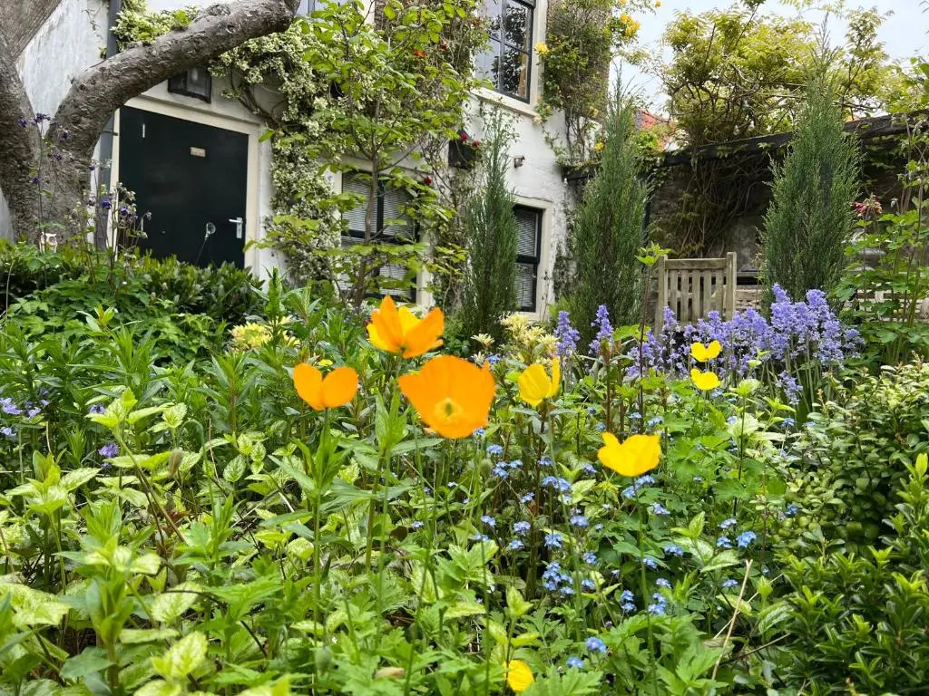 Apple Tree Cottage - discover this charming canal home in our idyllic garden