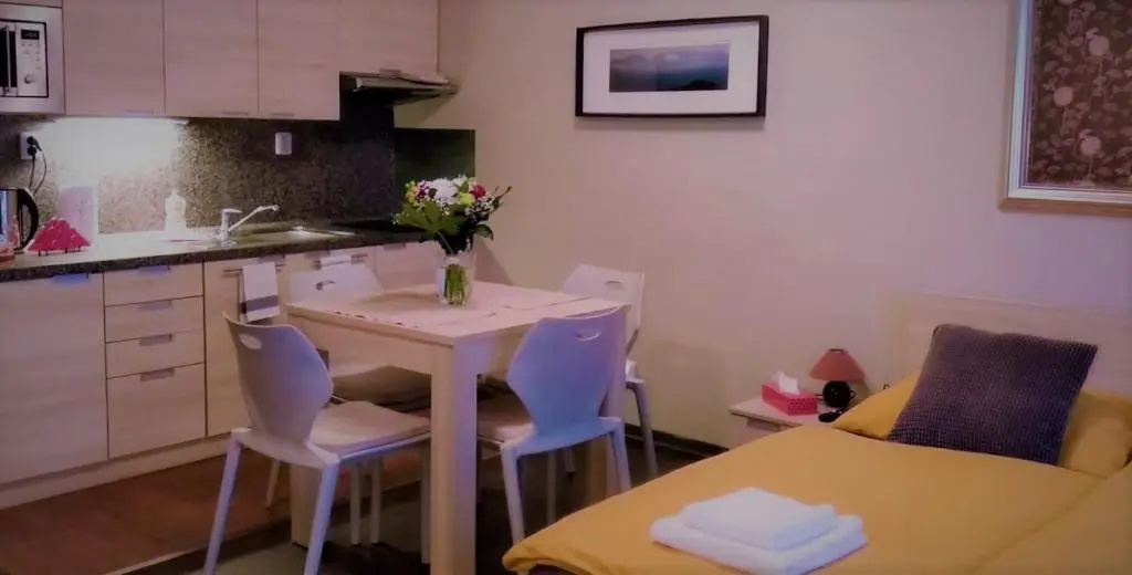 Harrachov Resident Apartments "Terrace & Chill" - high speed WiFi, možnost snídaně, Smart TV, Netflix, Disney plus