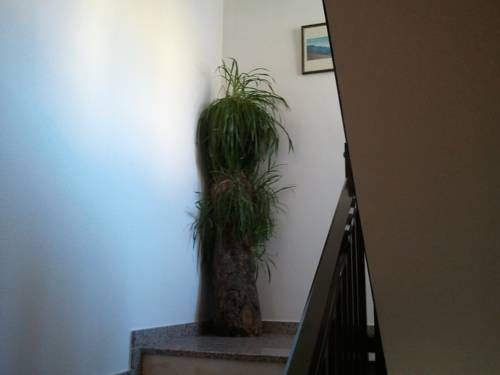 Hostal Rural Sositana