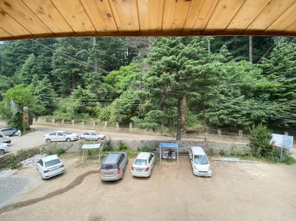 Hotel Hadimba Palace Manali