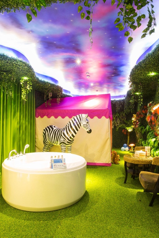 Swan of love Shenzhen Henggang Hotel