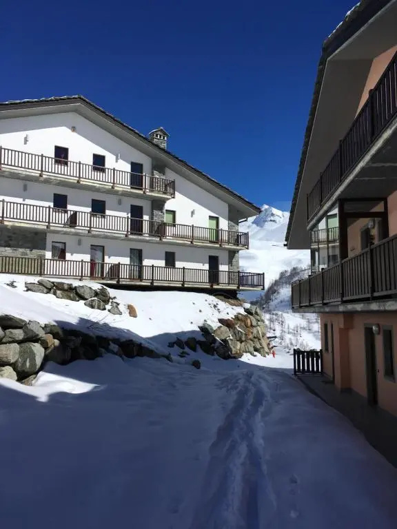 La marmotta bianca