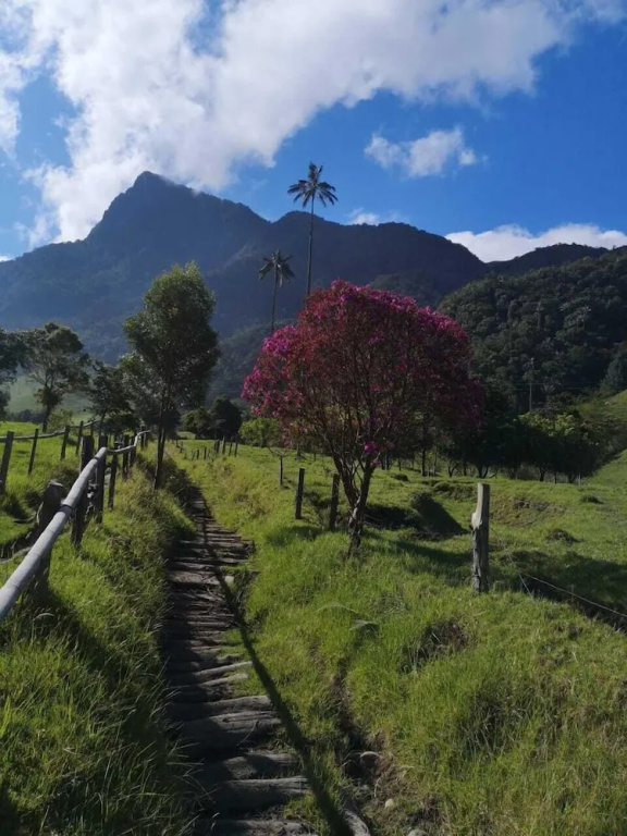 Refugios Nidos del Condor -Cocora-