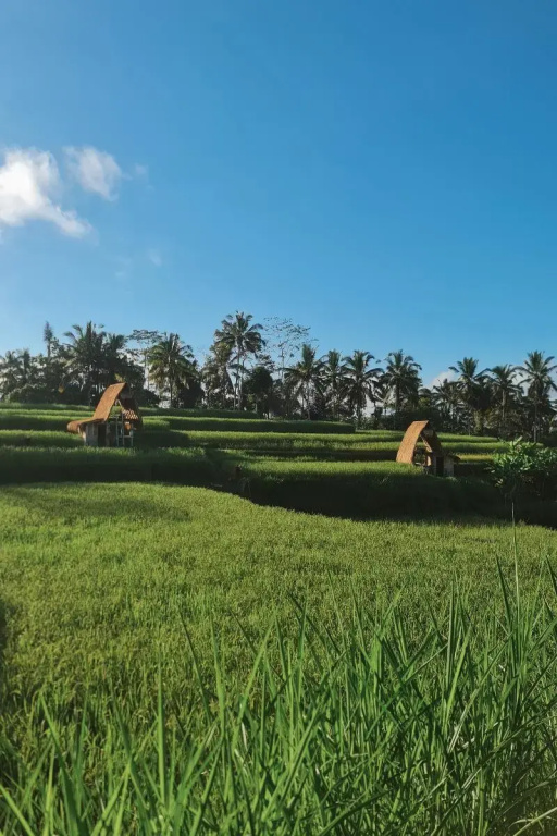 Swaha Retreat & Eco Park Ubud