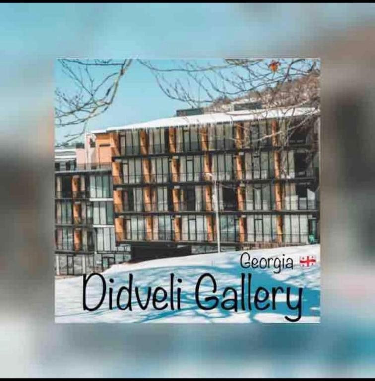 Didveli Gallery Studio Apartment B-408
