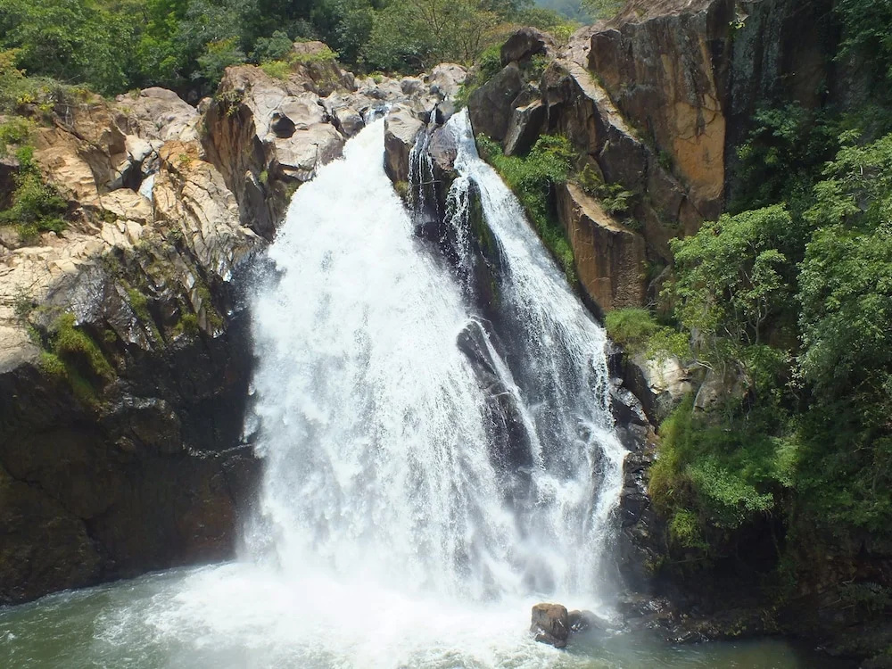 Treehouse Chalets - A Curated Experience of Unique Waterfall Treks and Scenic Hikes