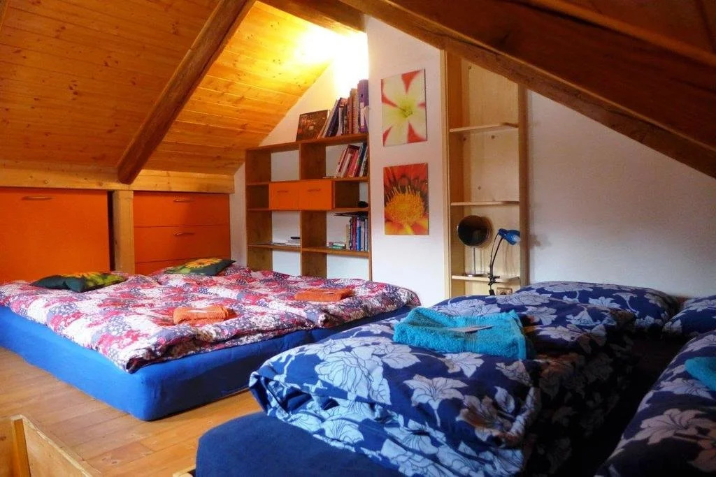 Guest House Sněžník