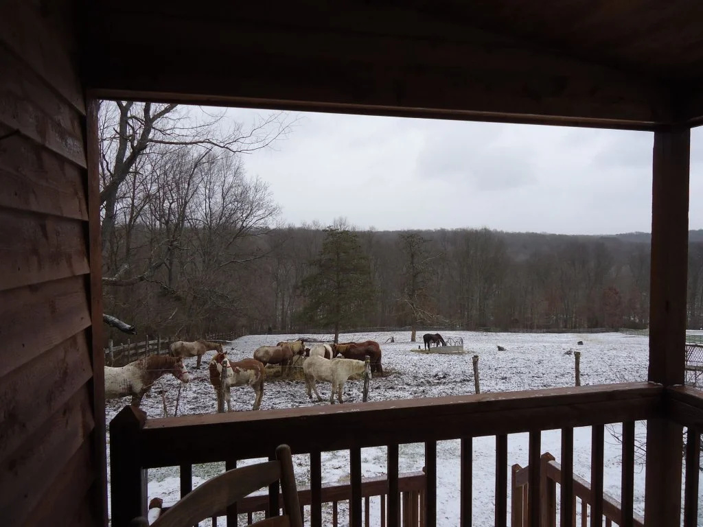 Rawhide Ranch