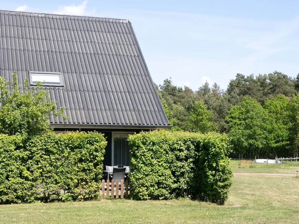 Cozy Forest-edge Home