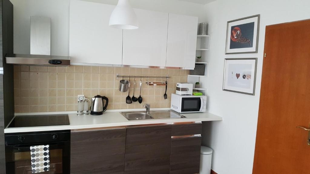 Apartment Roko