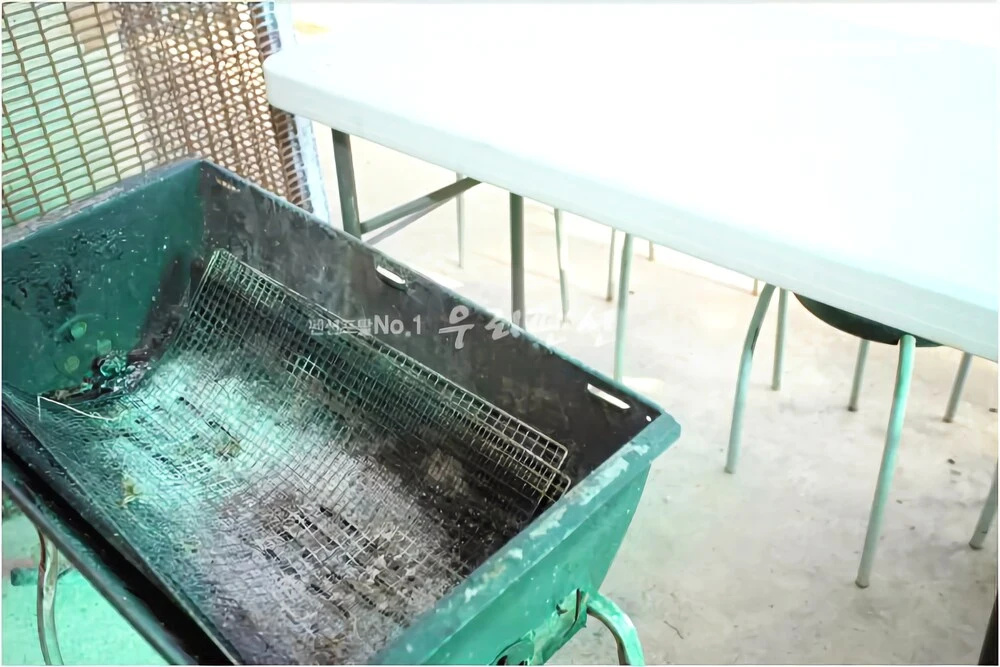 Hongcheon Sinyeong Pension
