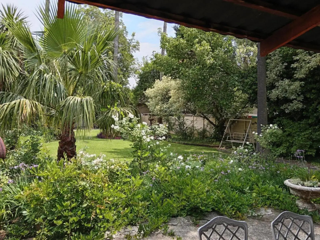 Palms Lodge