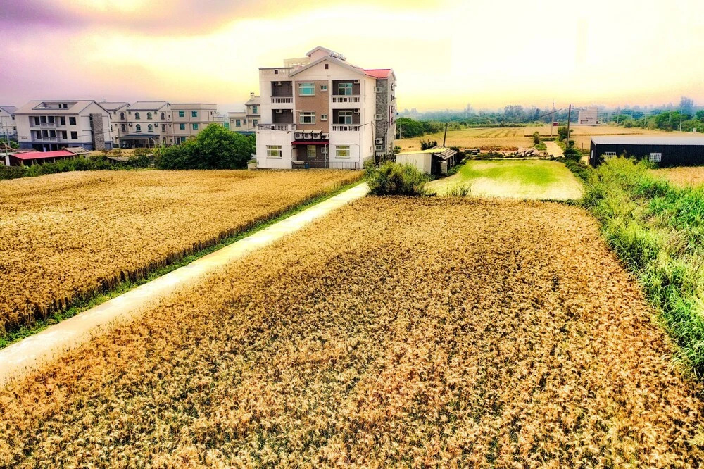 The heart of the sea