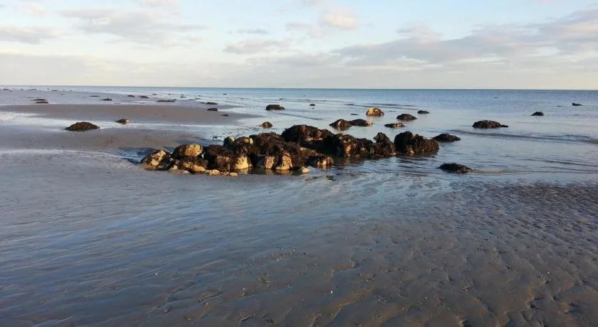 The Aldwick