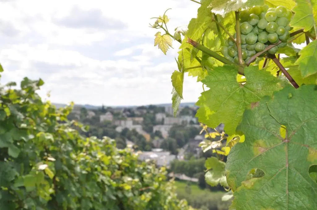 Alembra - Wein Style Hotel
