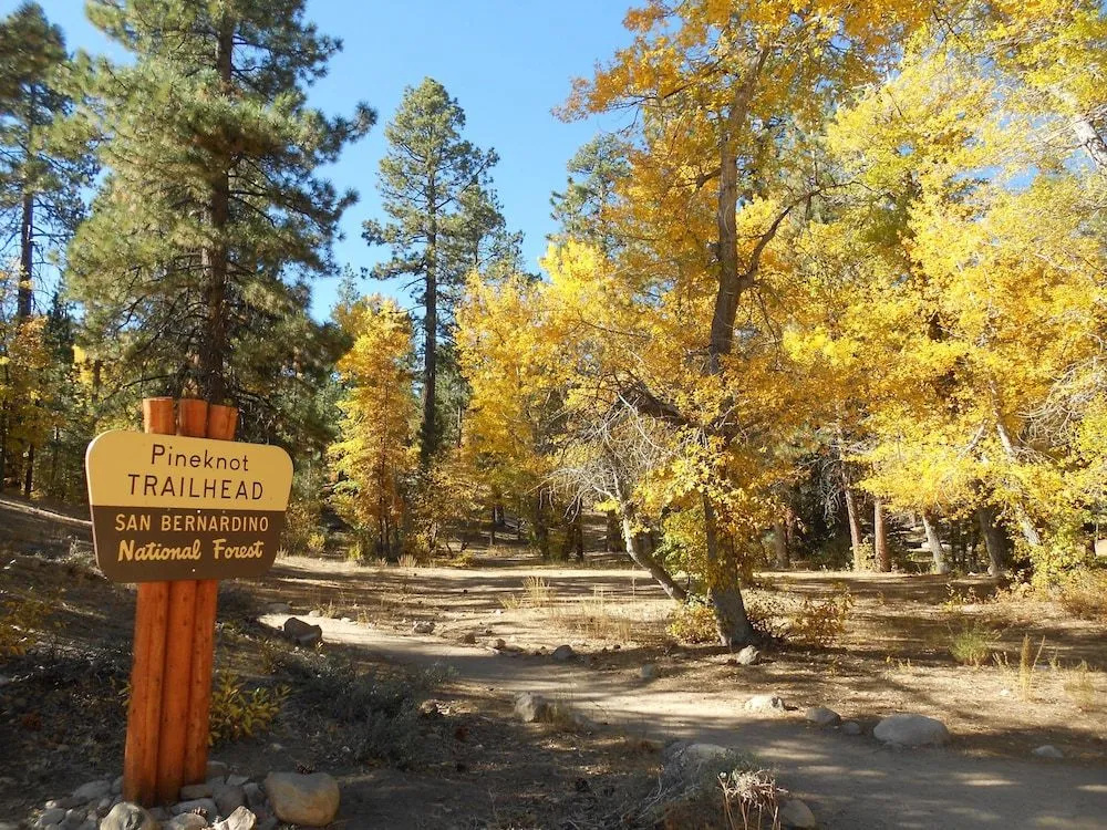 Bear Slope View Cabin