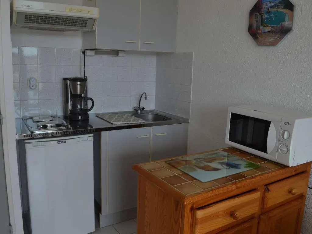 Appartement Le Grau-du-Roi, 1 pièce, 4 personnes - FR-1-250-160