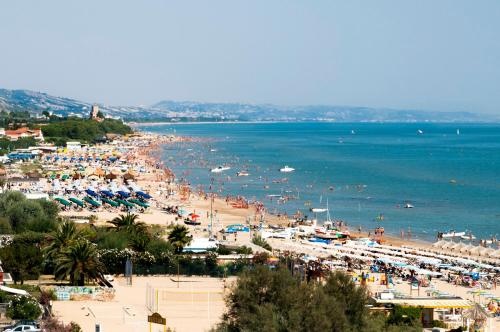 Pineta 16 Silvi Vacanza