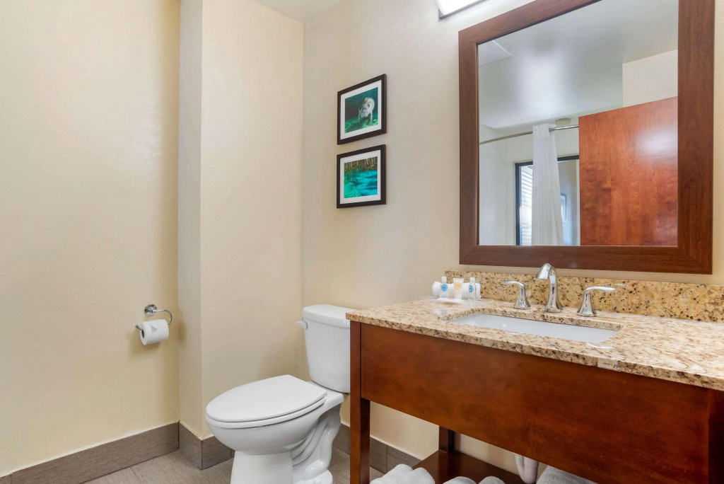 Comfort Suites Tallahassee Capitol - University Area
