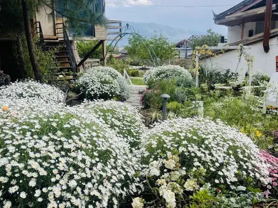 Shiwai Taoyuan Inn RV Camp