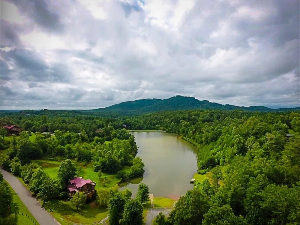 Honey Bee Hill