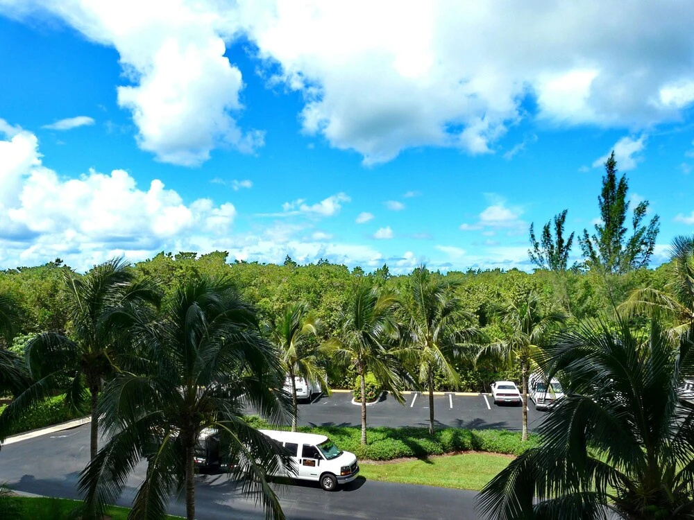 Beachfront Condo in Resort-style Community With Pool