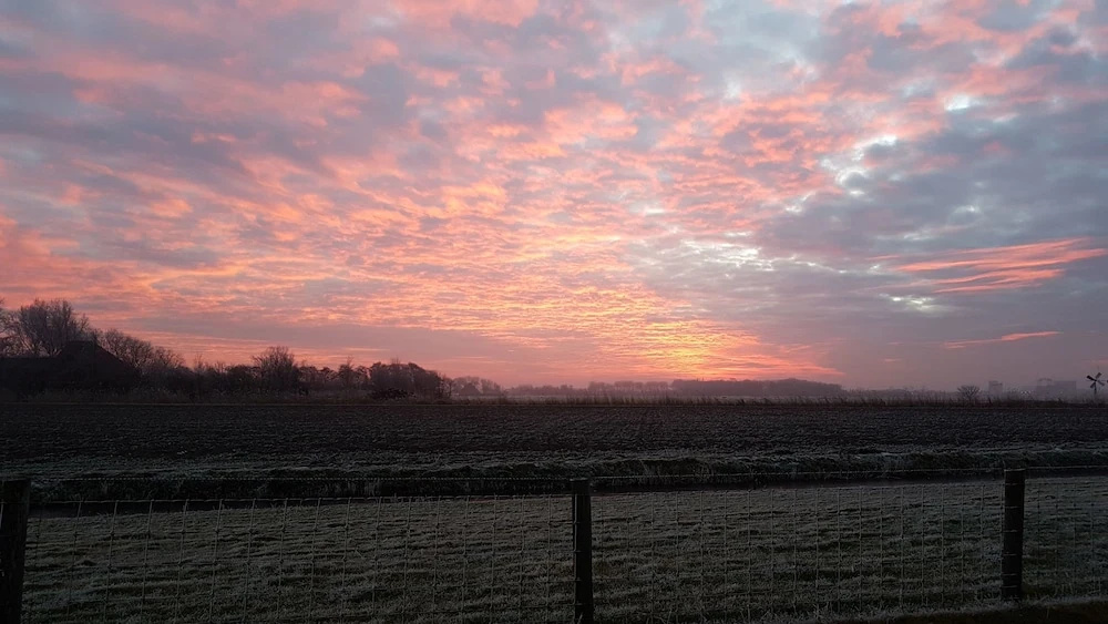 De Flevohoeve